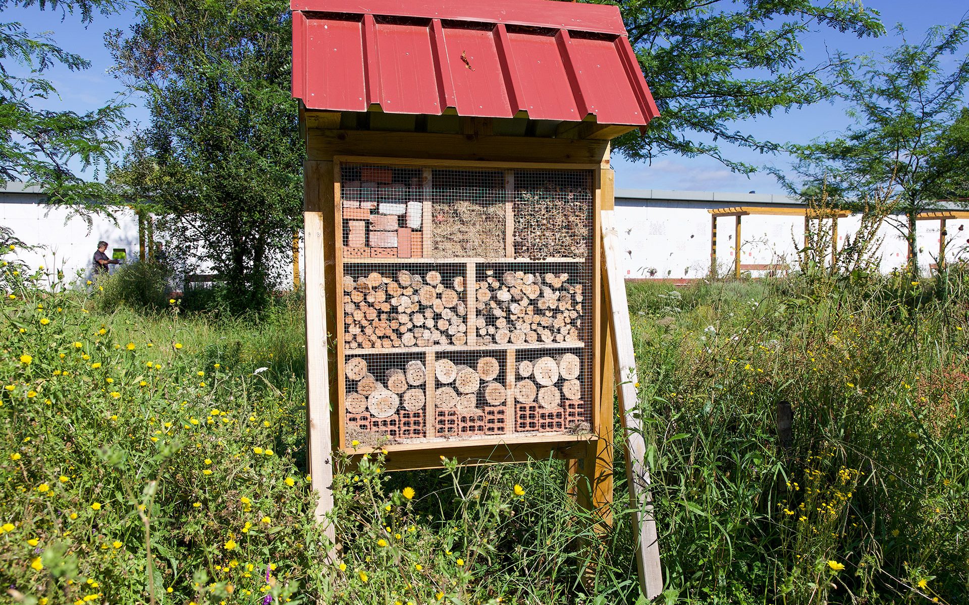 Santuario de insectos del Cementerio de Bilbao