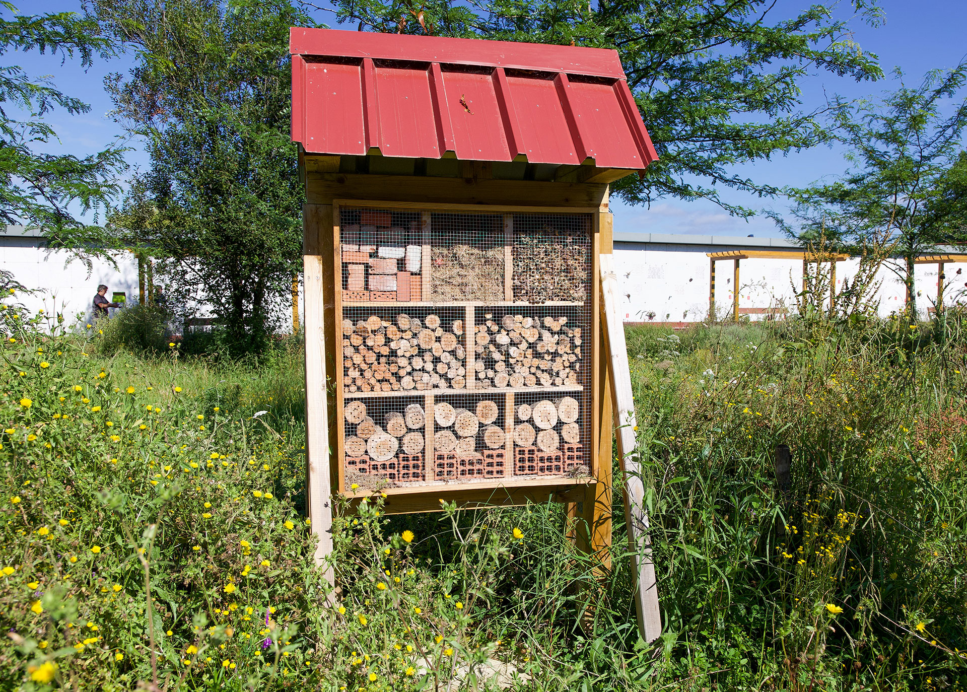 Santuario de insectos del Cementerio de Bilbao