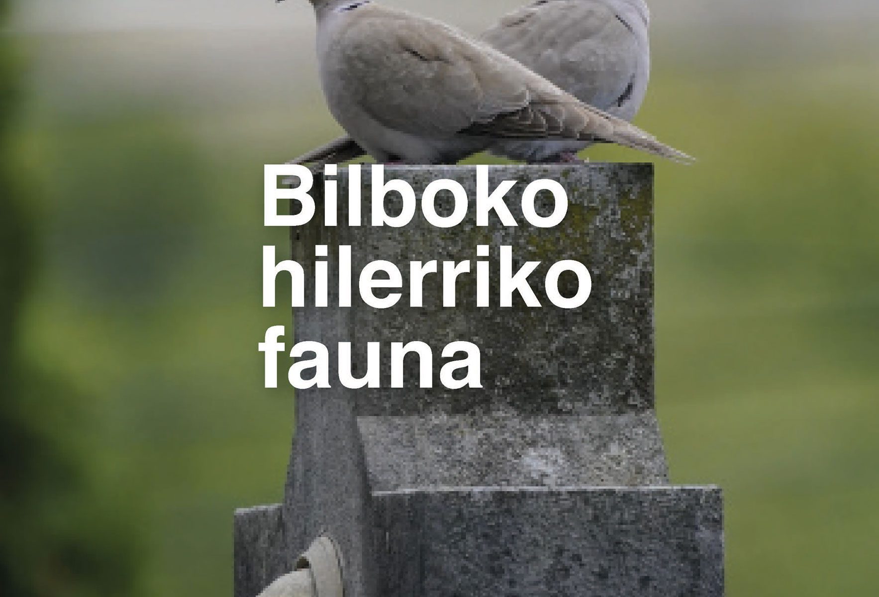 Bilboko hilerriko faunaren liburua