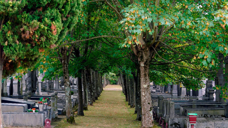 Visitas guiadas al Cementerio de Bilbao. Flora y paisaje