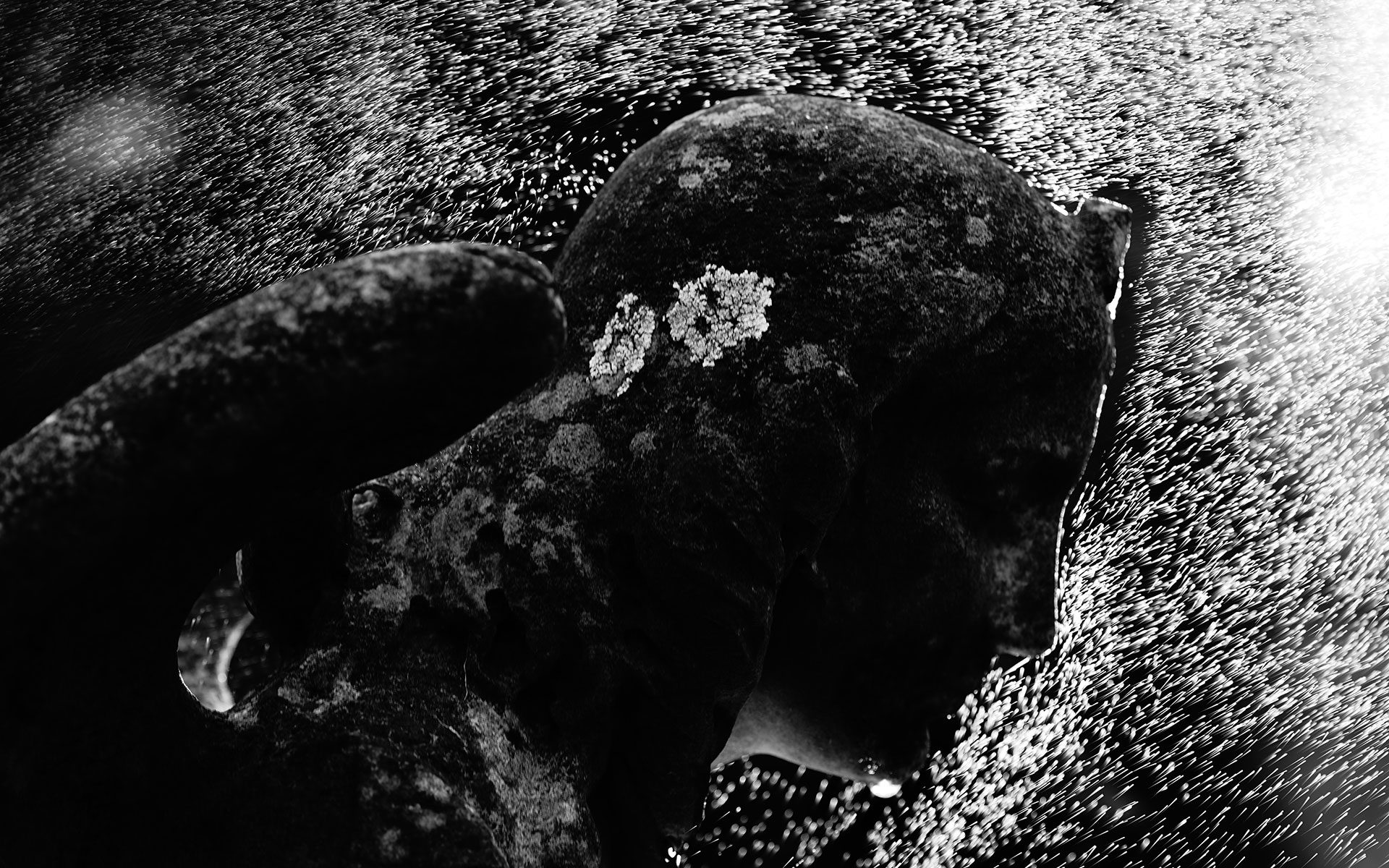 Fotografía ganadora del V Concurso de fotografía "Cementerio de Bilbao". Autor: José Luis Rodríguez Morán. Título: Rain.