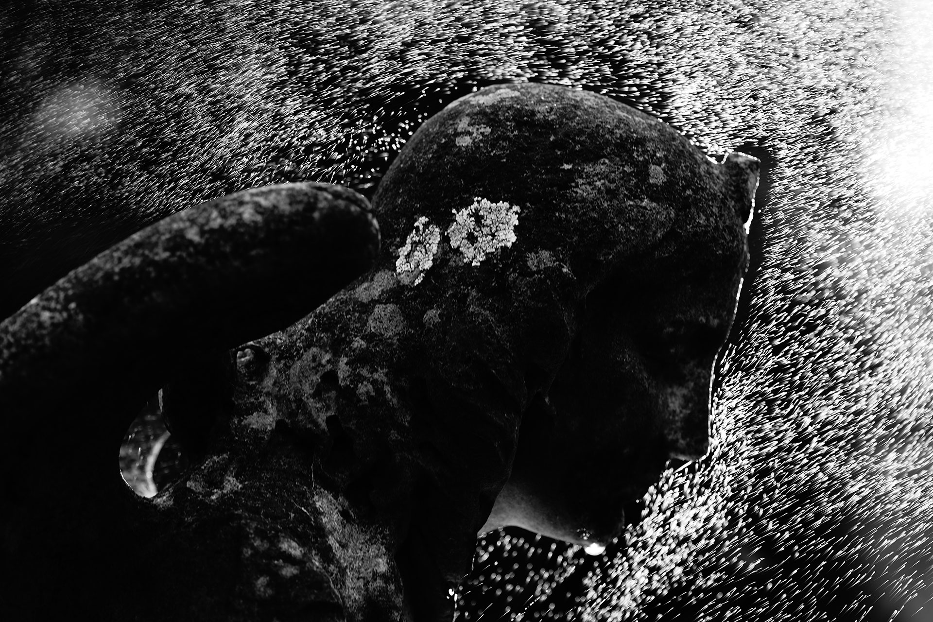 Fotografía ganadora del V Concurso de fotografía "Cementerio de Bilbao". Autor: José Luis Rodríguez Morán. Título: Rain.